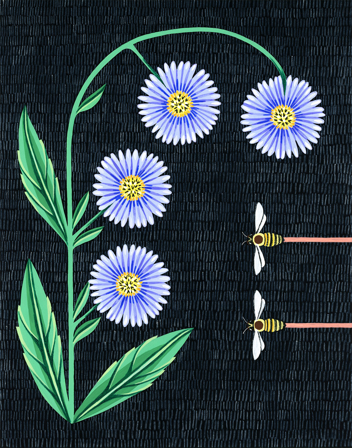 Original painting of aster flowers and bees