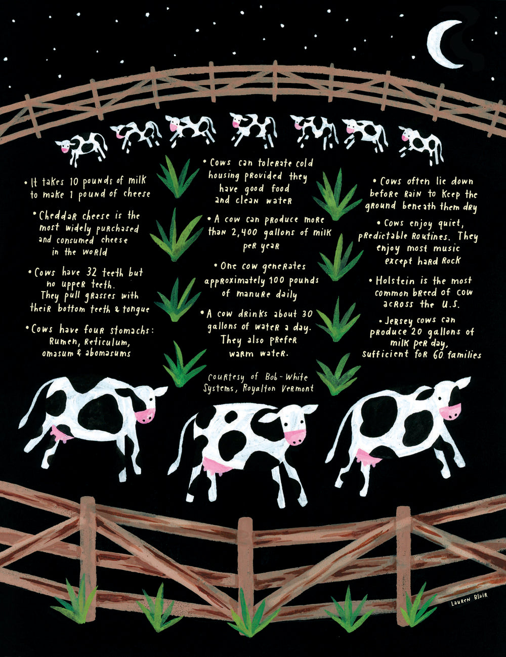 Cows Final Facts poster by Lauren Blair 