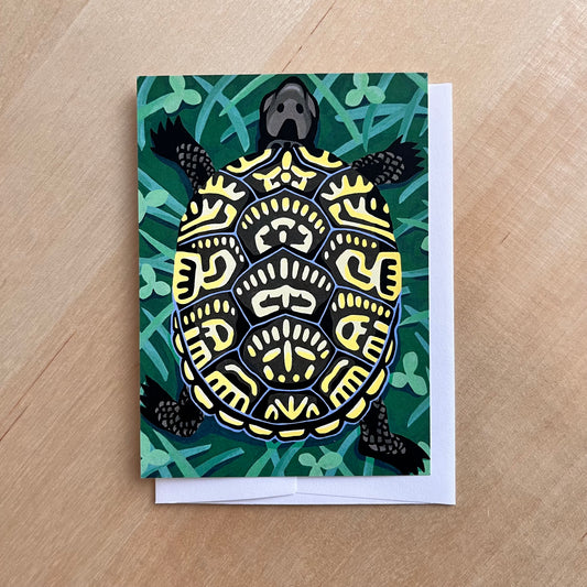 Box Turtle - Card