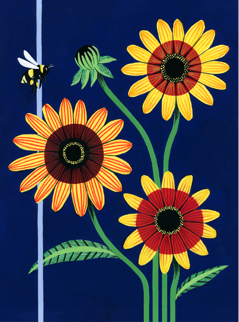 Daisy - Card