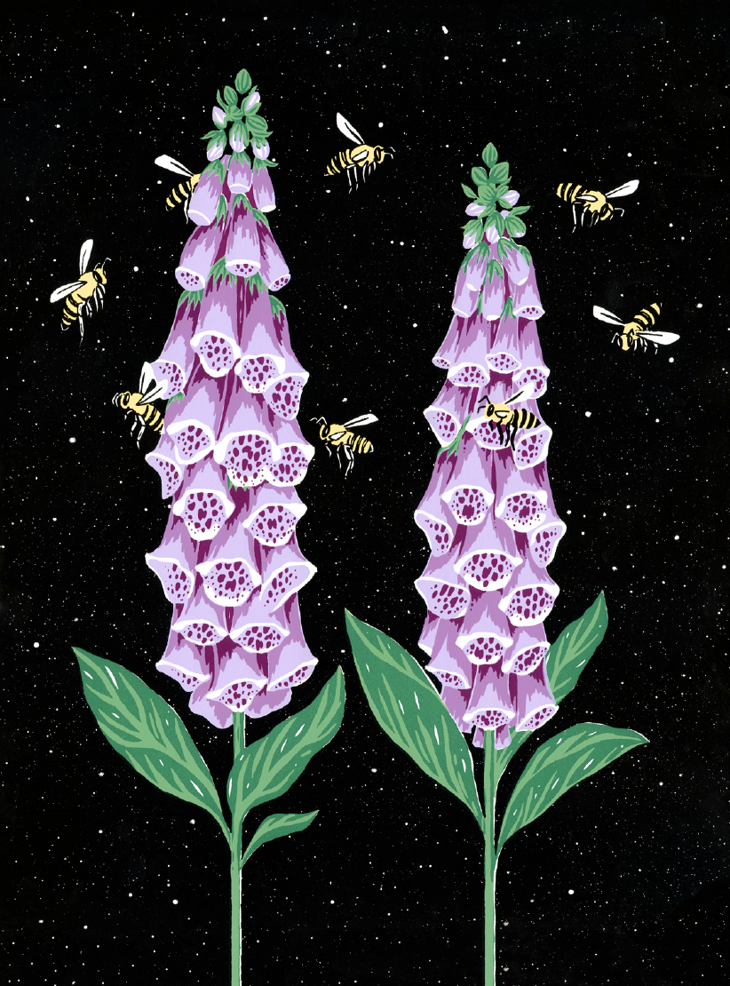 Foxglove - Card