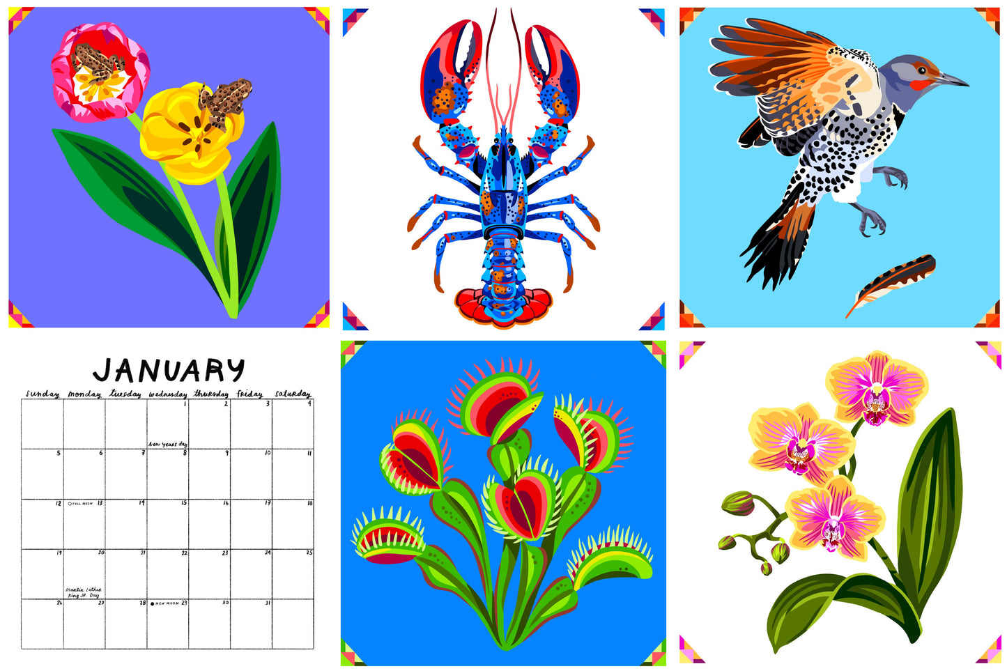 2025 Wall Calendar