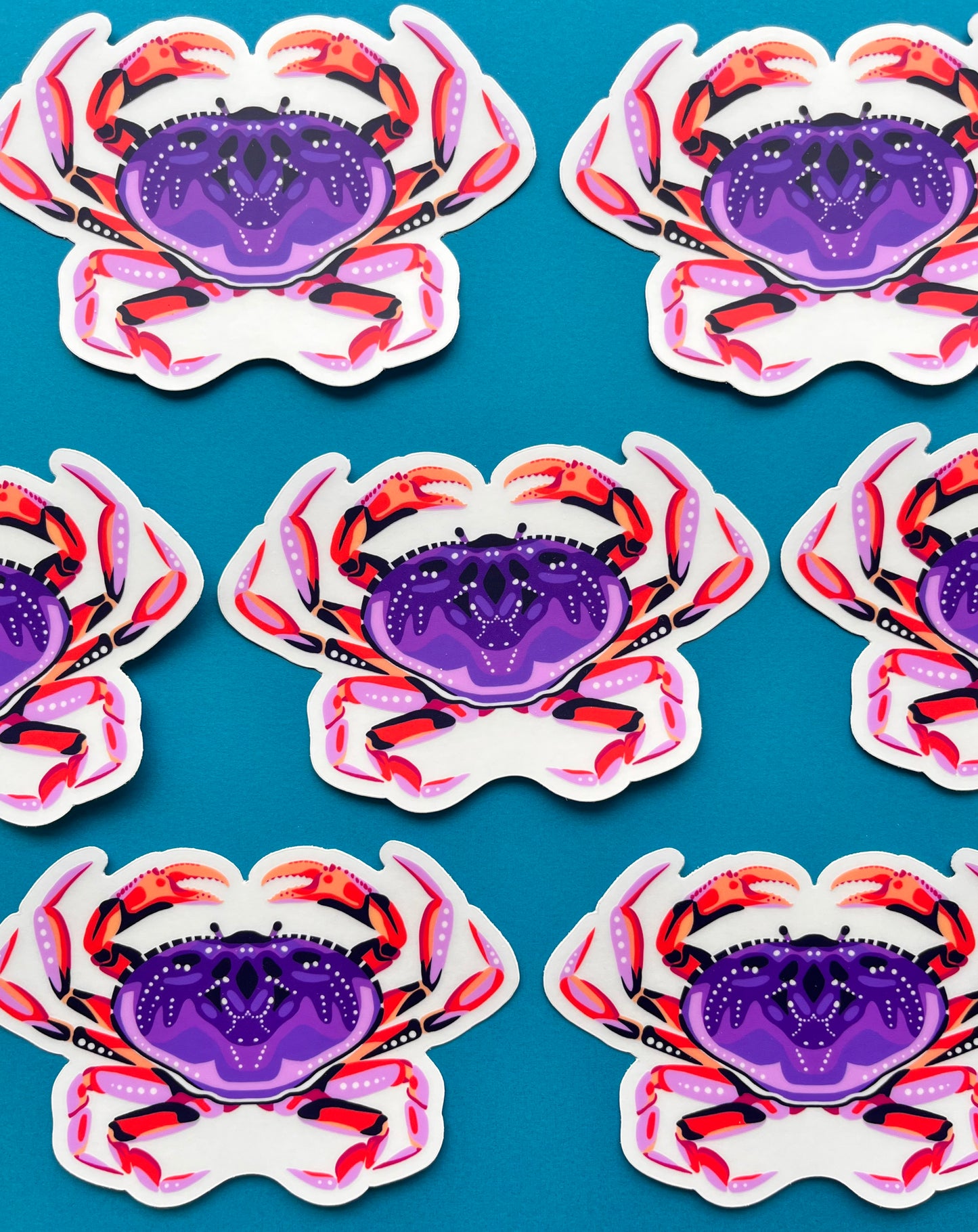 Dungeness Crab Sticker