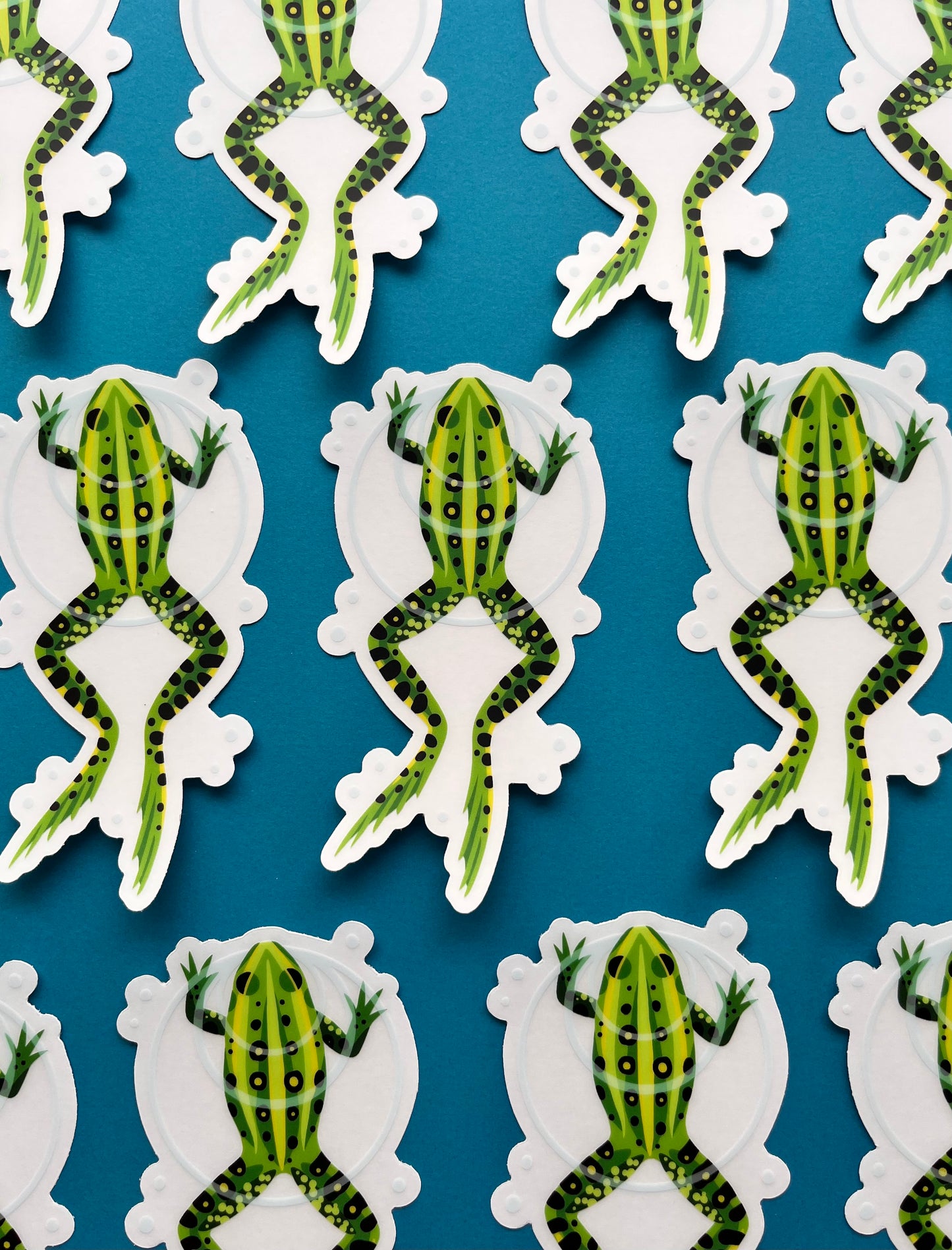 Green Bullfrog Sticker