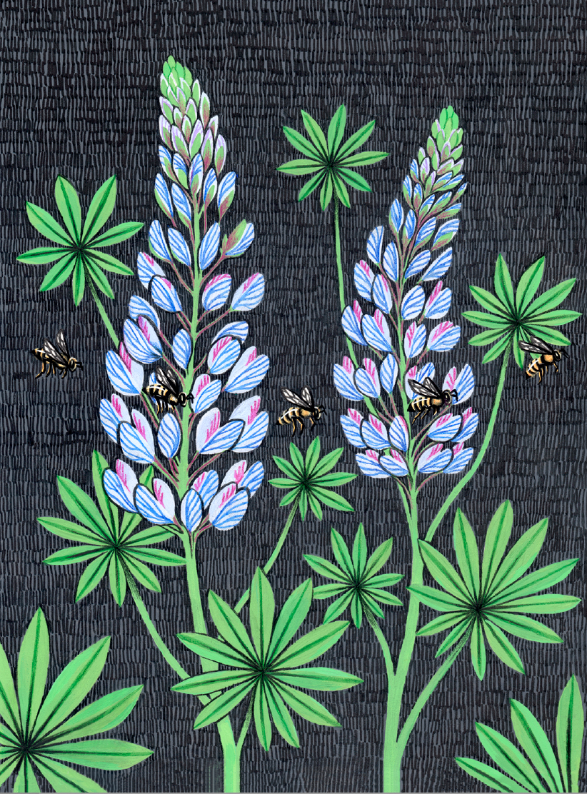 Lupine - Card