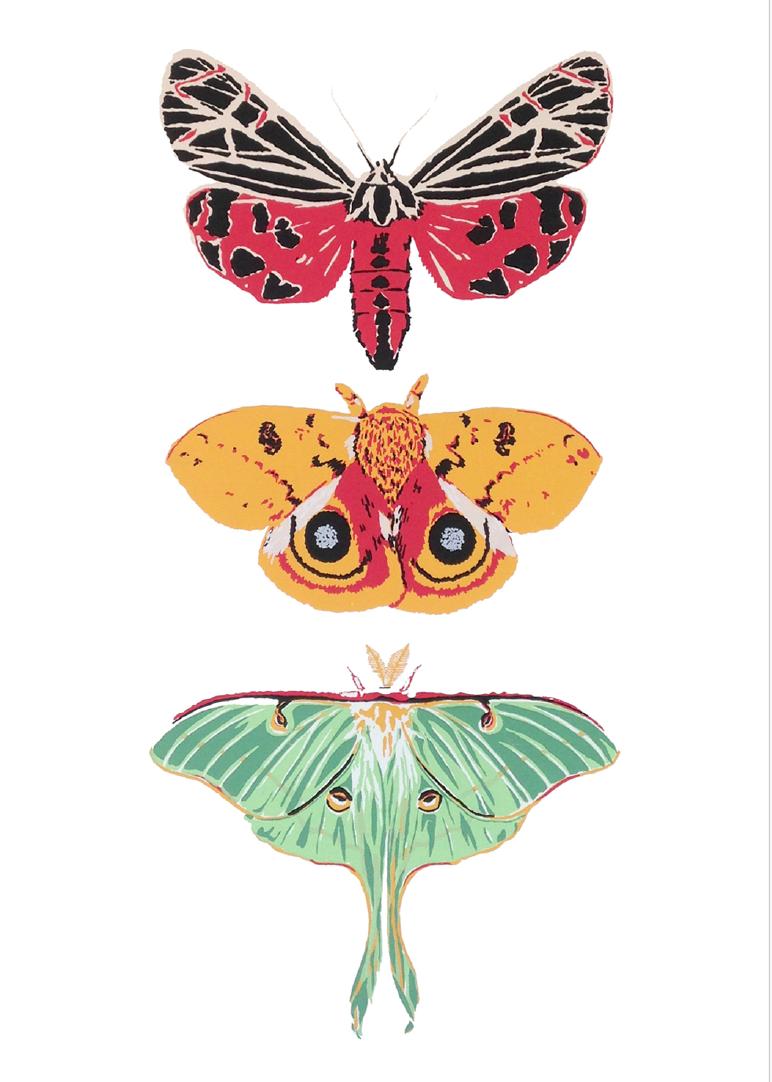 Moth Trio - Card