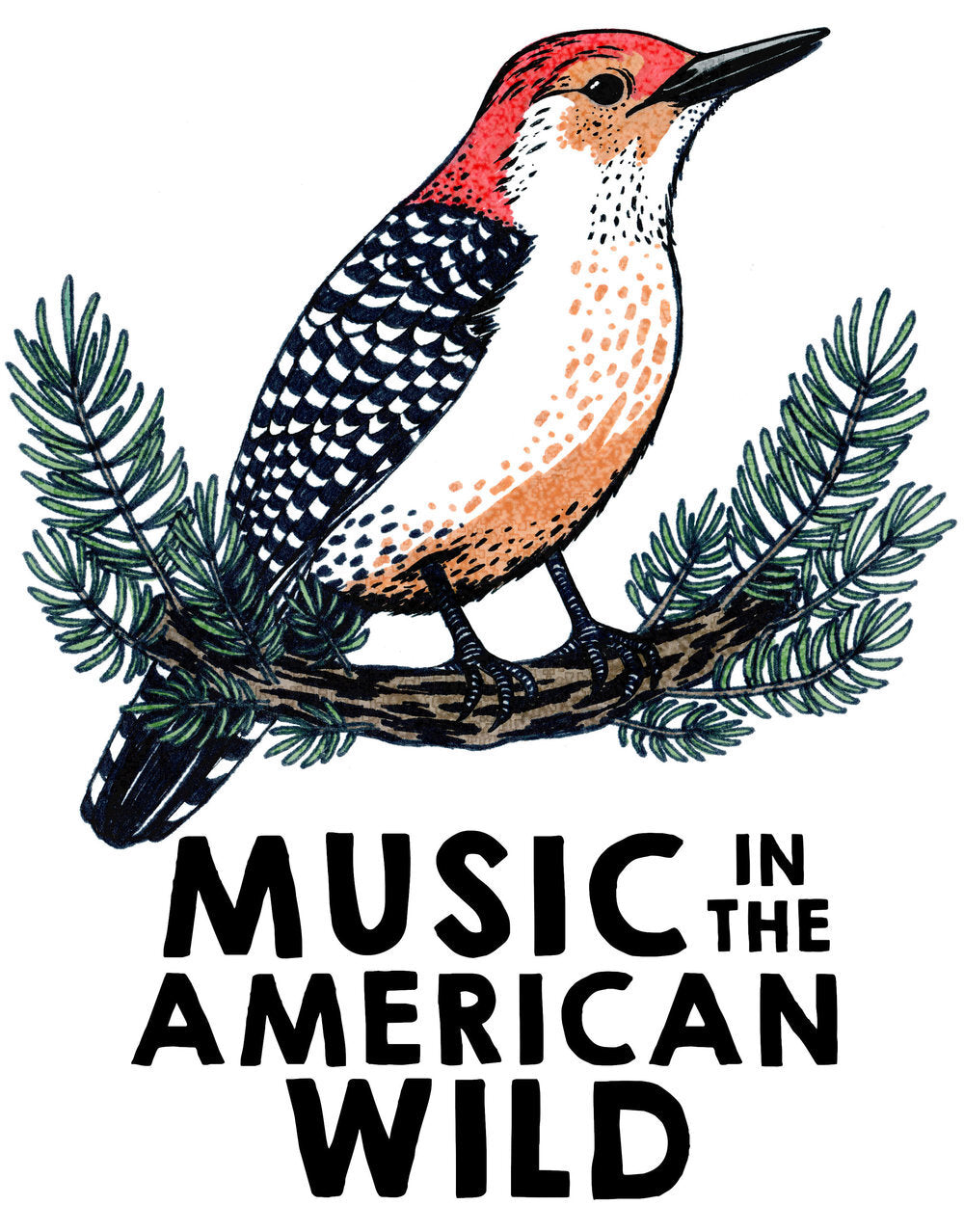 Poster for Music in the America Wild poster of a woodpecker by Lauren Blair