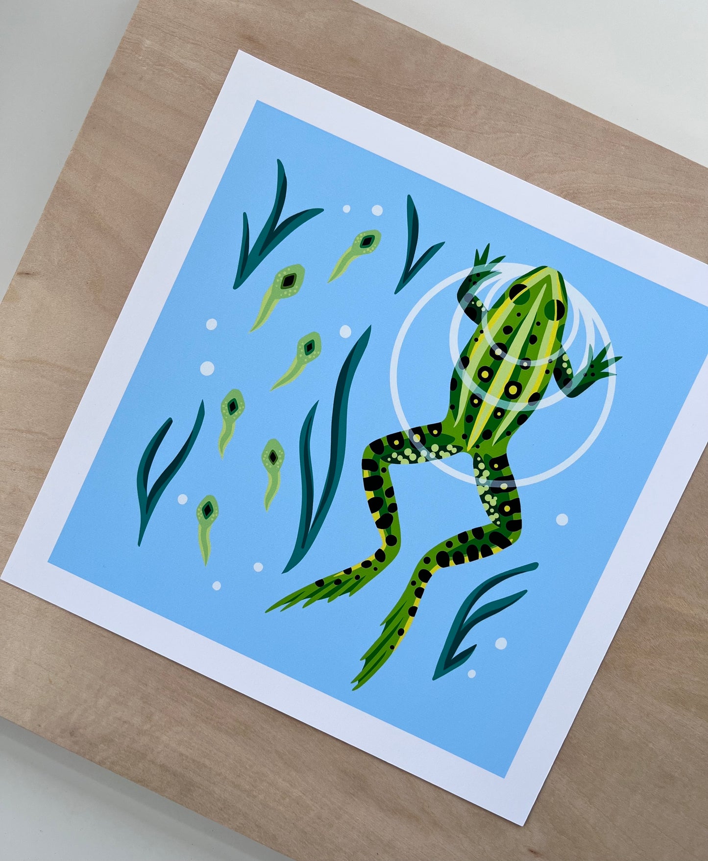 Frog & Tadpoles - Art Print