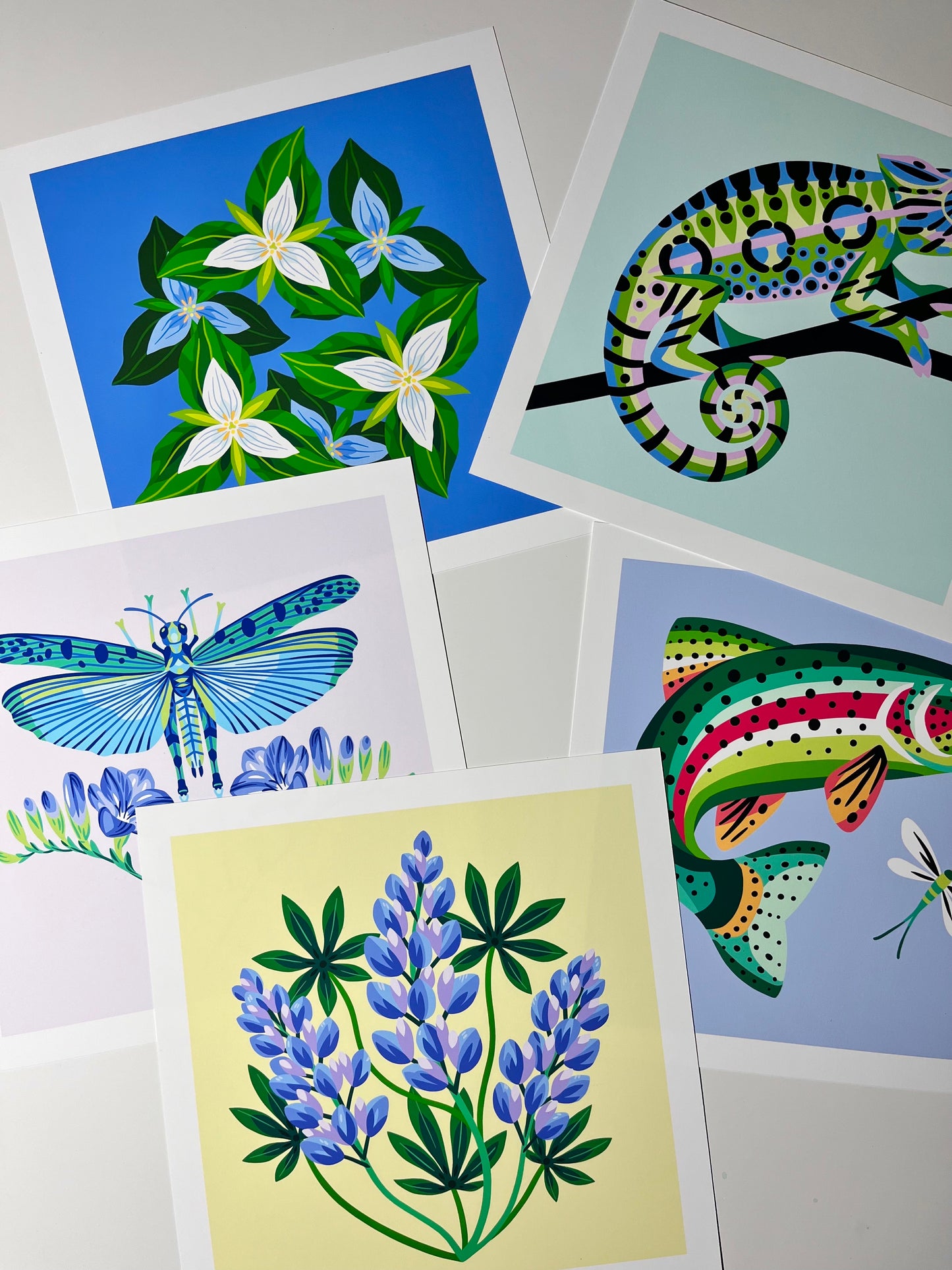 Trillium Patch - Art Print