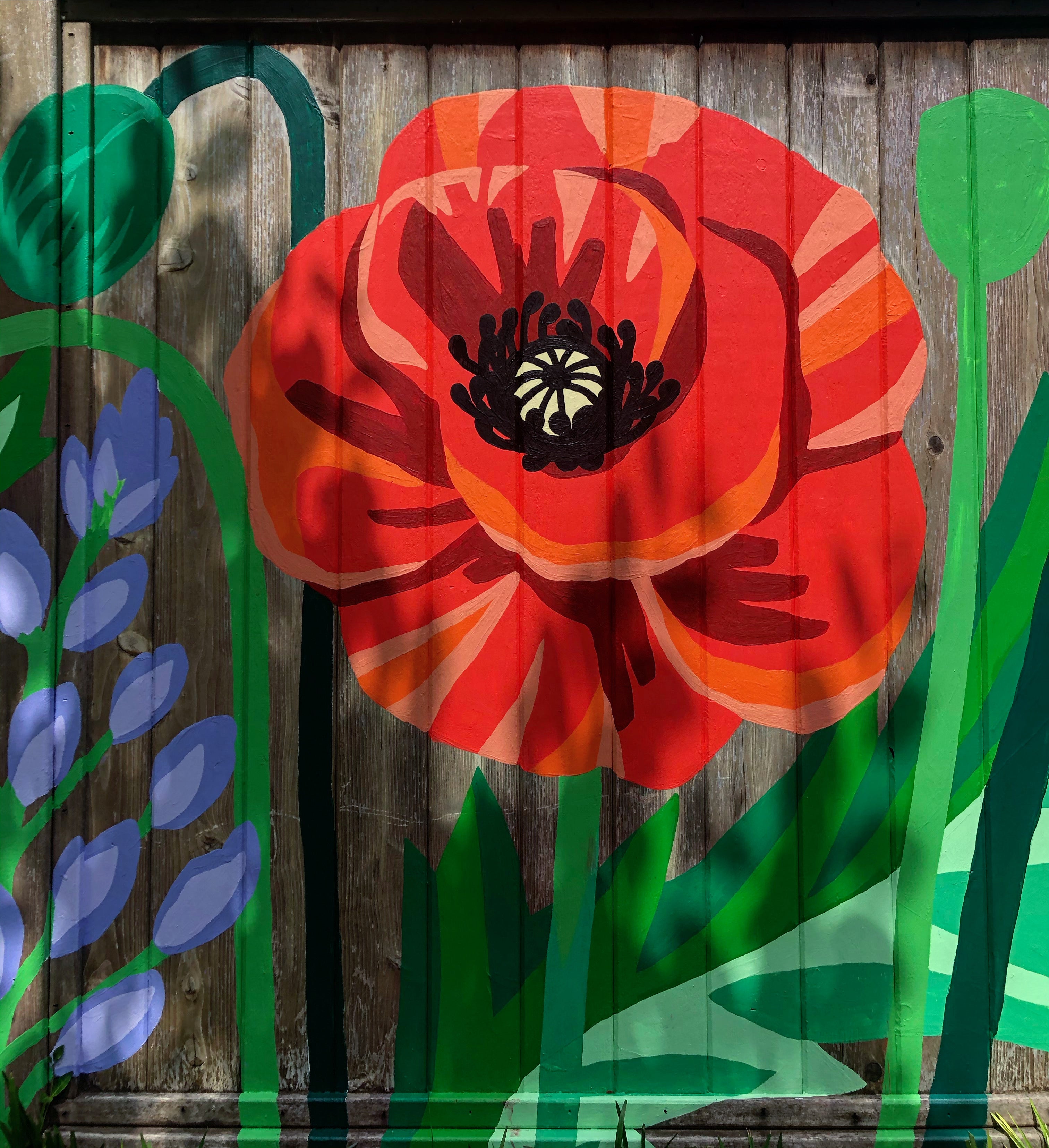 Red flower painted on a fence