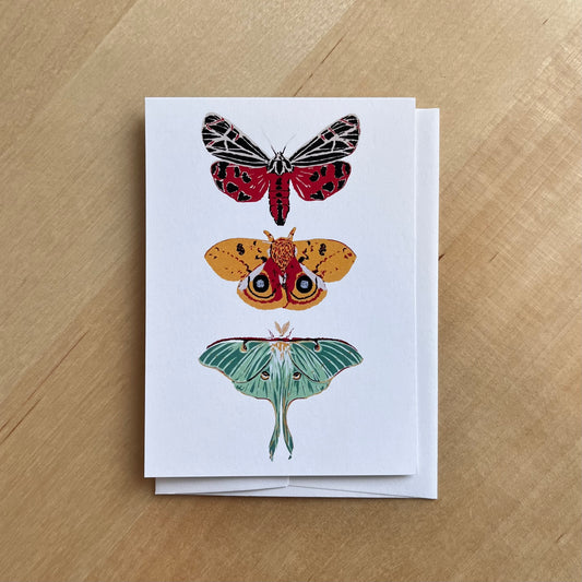 Moth Trio - Card