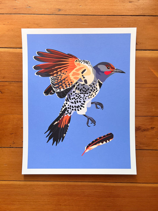 Northern Flicker - Art Print