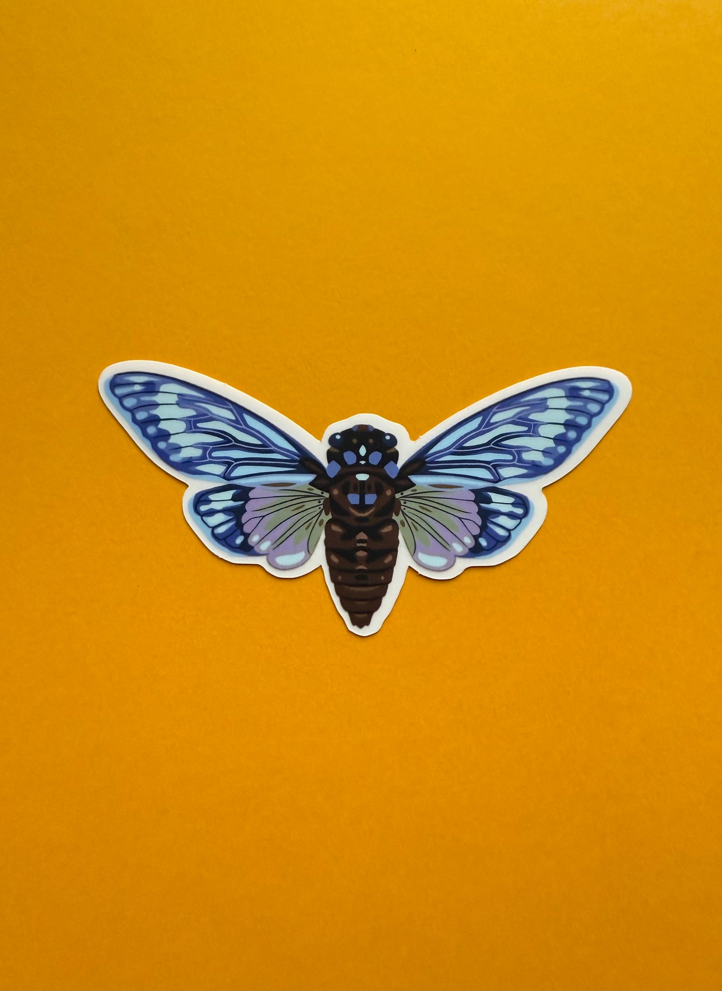 sticker of a cicada with wings spread