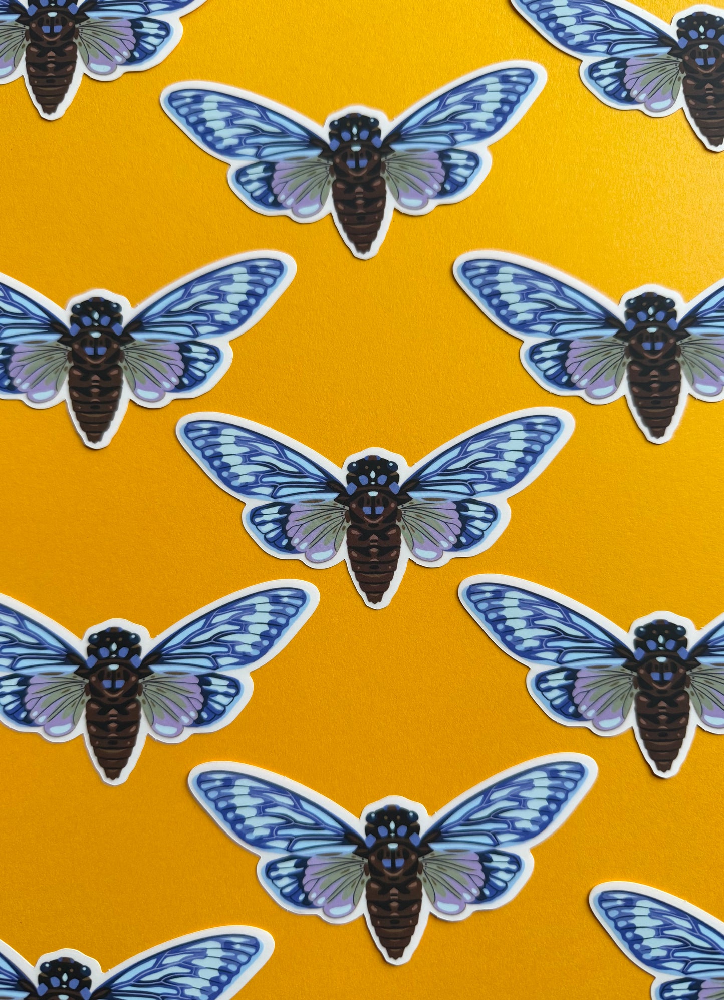 Cicada Sticker