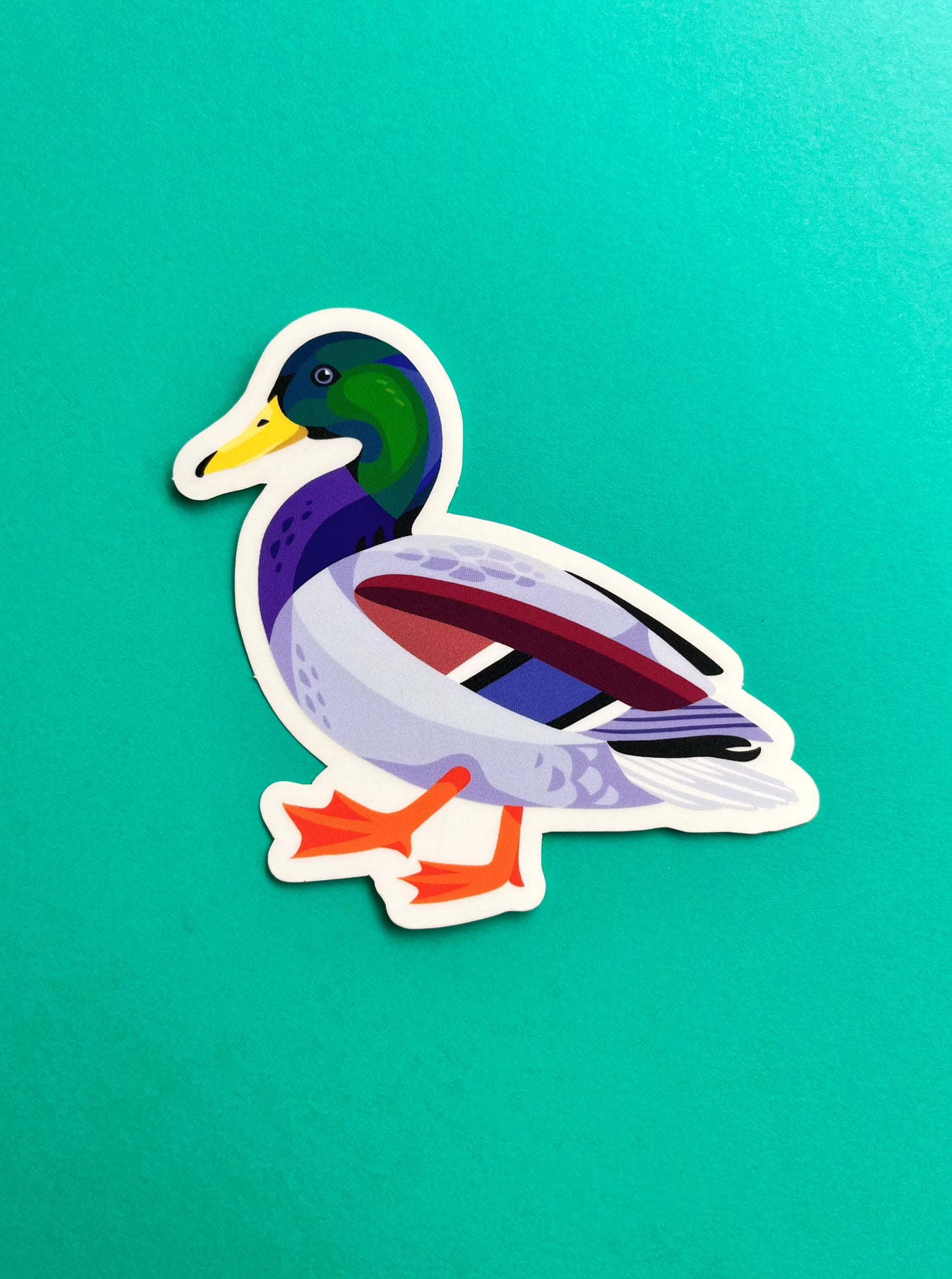 Mallard Duck Sticker