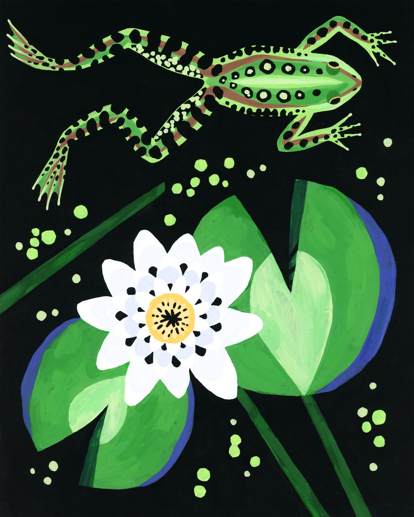 Bullfrog & Lilypad - Art Print