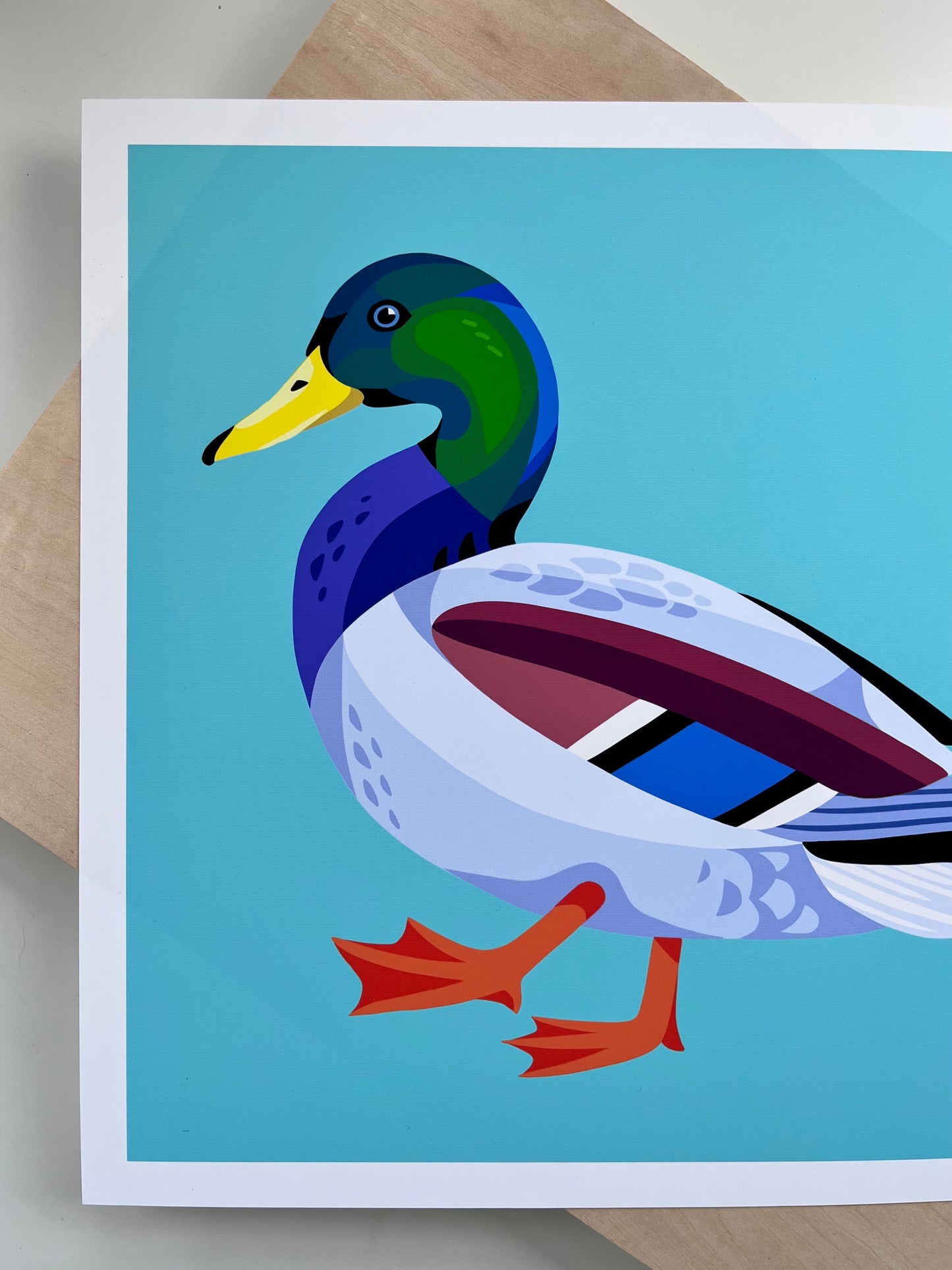 Mallard Duck - Art Print