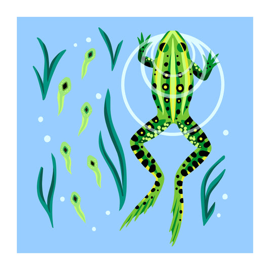 Frog & Tadpoles - Art Print