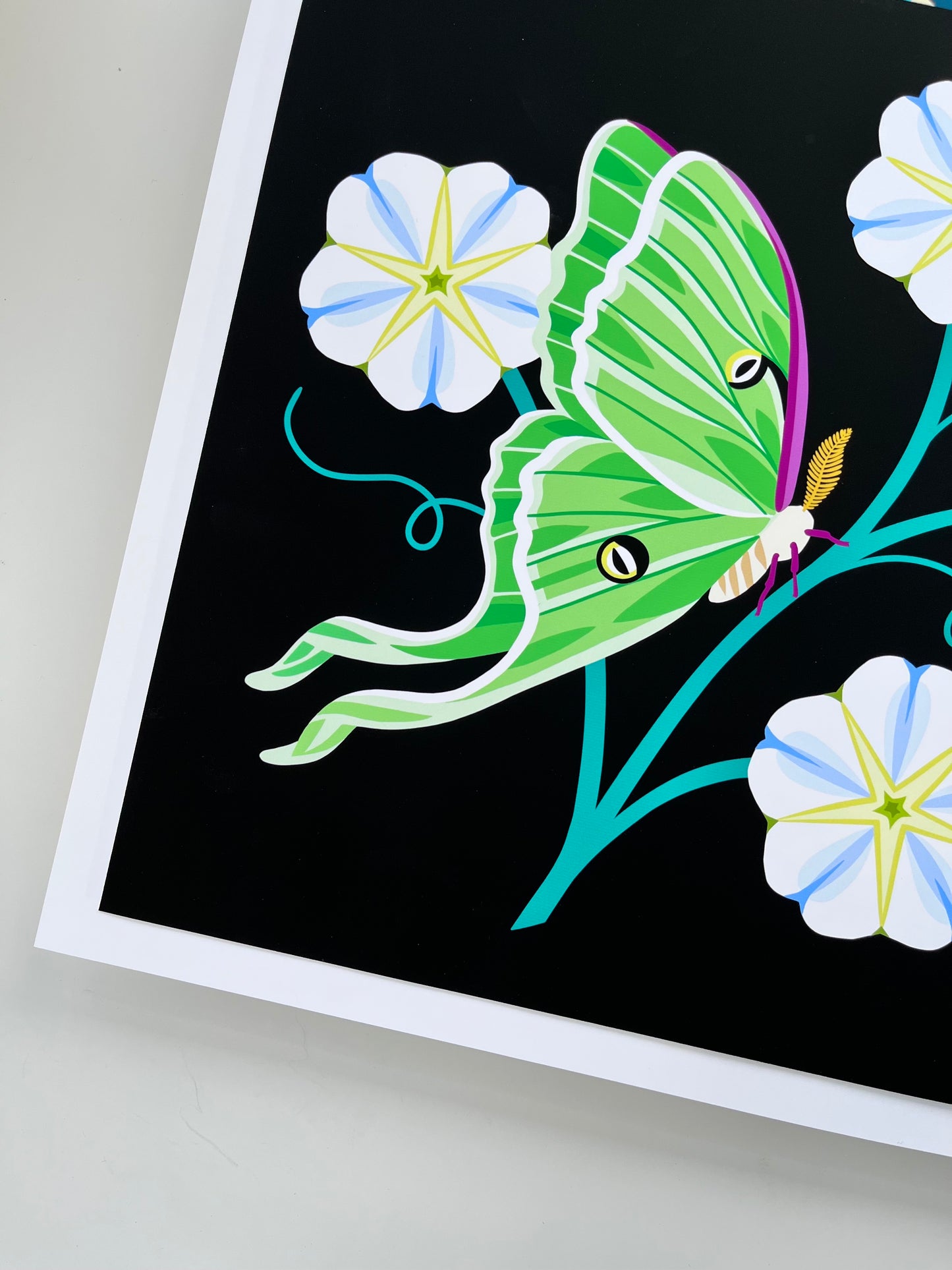 Luna Moth & Moon Flowers - Art Print