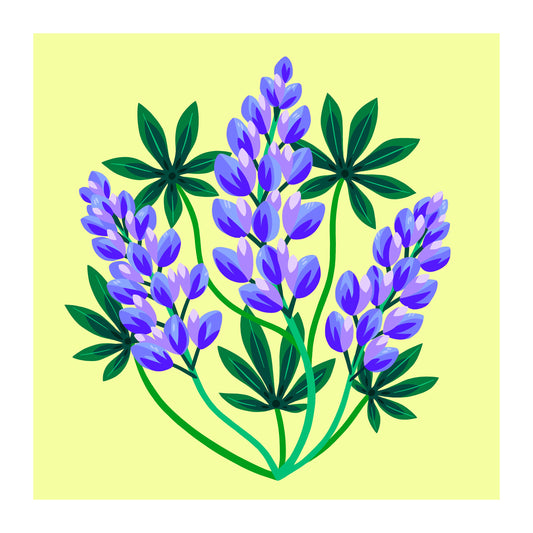 Lupine Bunch - Art Print