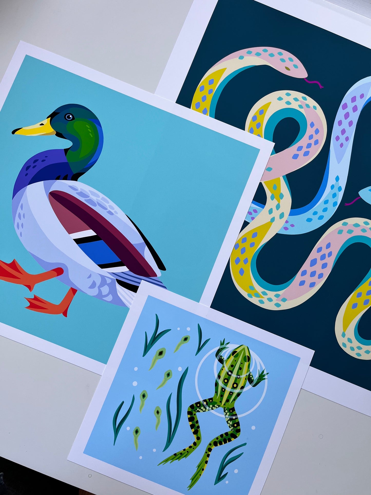 Garden Snakes - Art Print