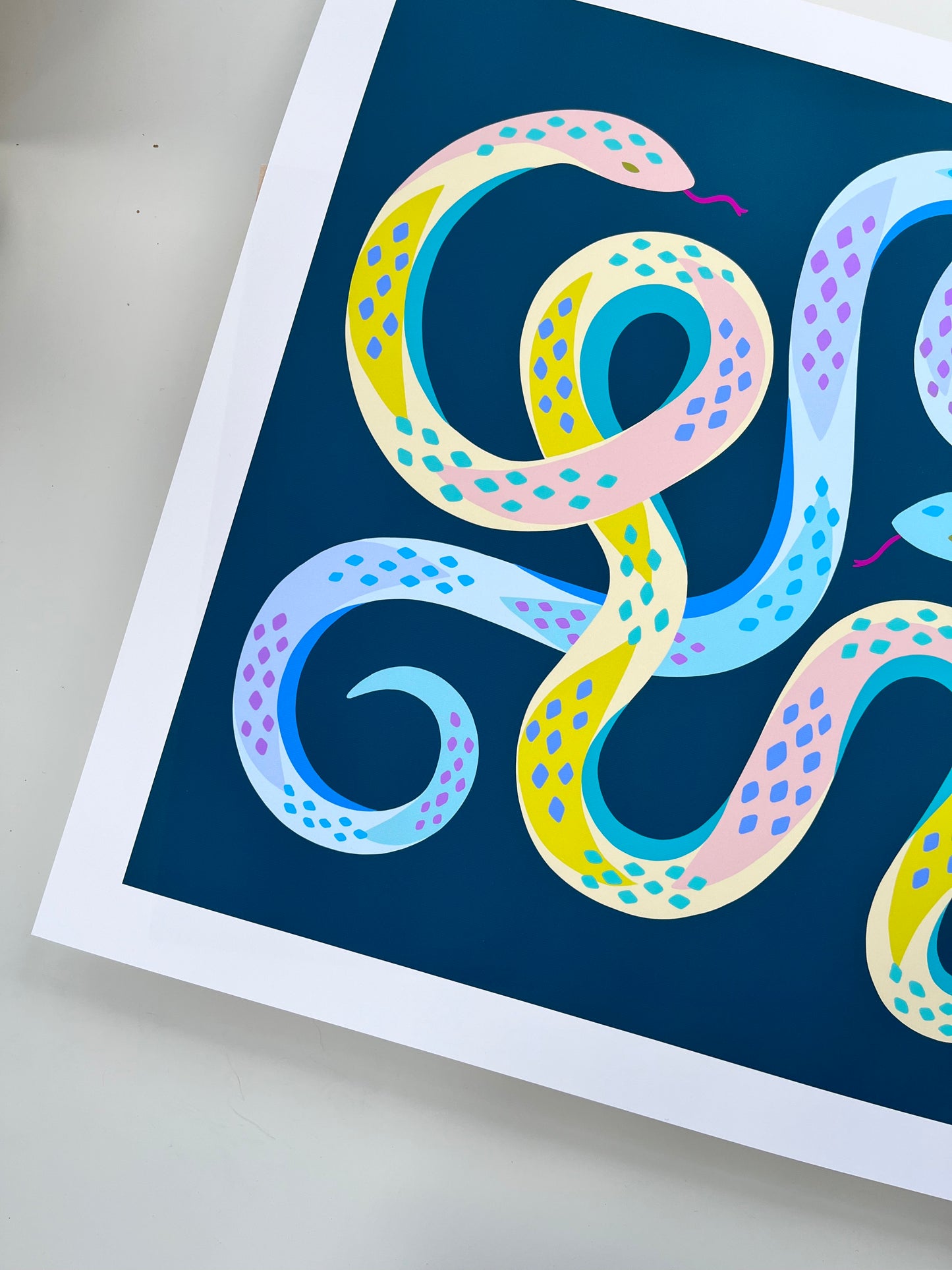 Garden Snakes - Art Print