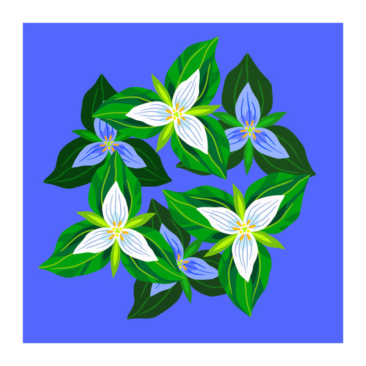 Trillium Patch - Art Print