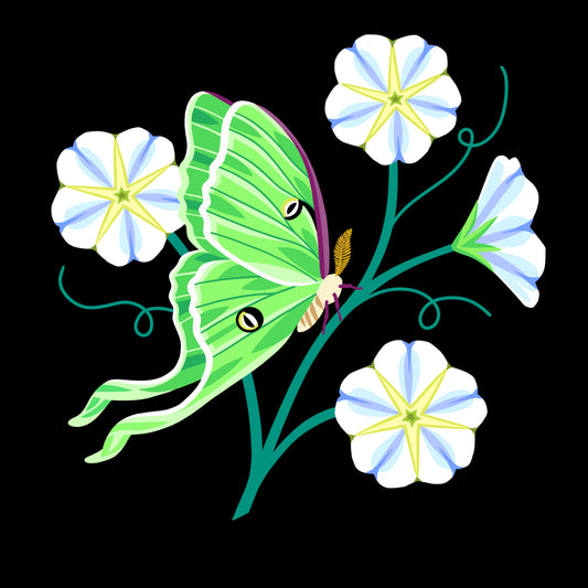 Luna Moth & Moon Flowers - Art Print